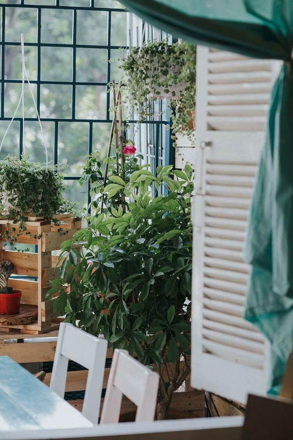 하노이 Momento Boutique House 1 호스텔 외부 사진